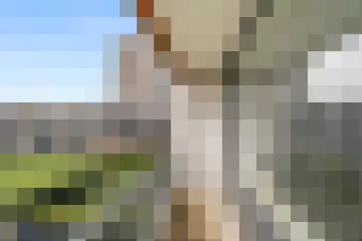 Haldereng 63 Bennekom thumbnail 21
