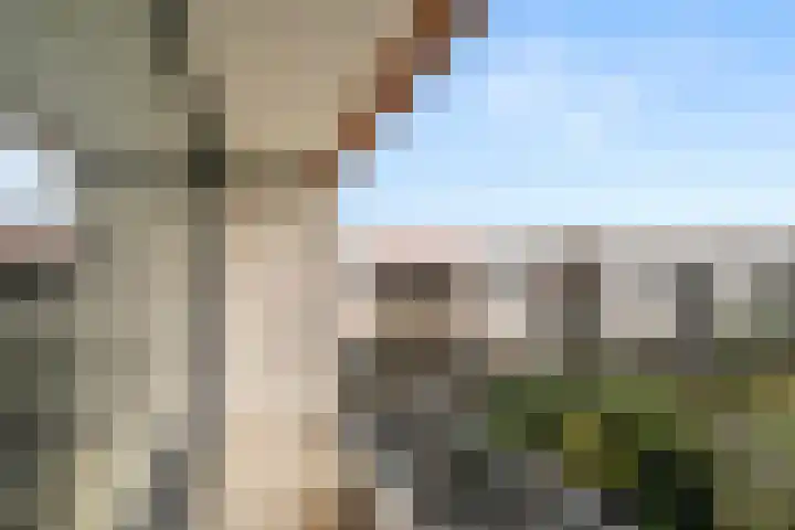 Haldereng 63 Bennekom thumbnail 22