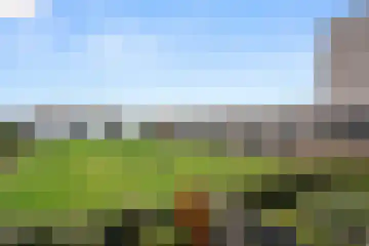 Haldereng 63 Bennekom thumbnail 23