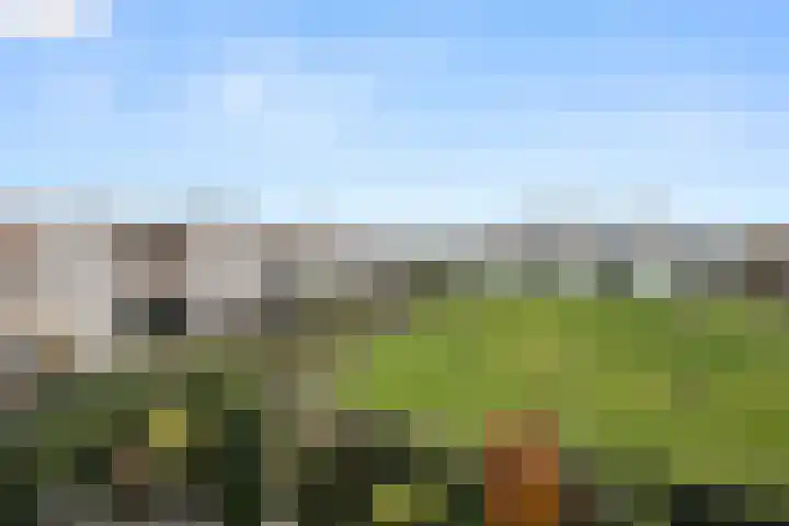 Haldereng 63 Bennekom thumbnail 24