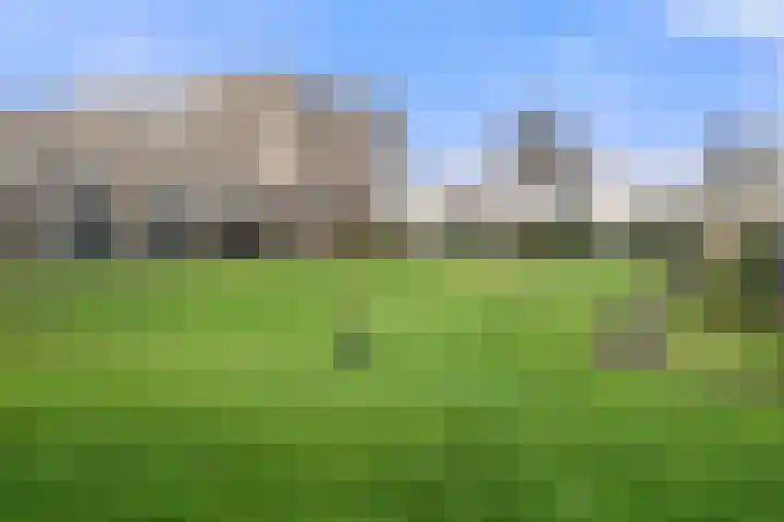 Haldereng 63 Bennekom thumbnail 5