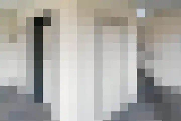Haldereng 65 Bennekom thumbnail 15