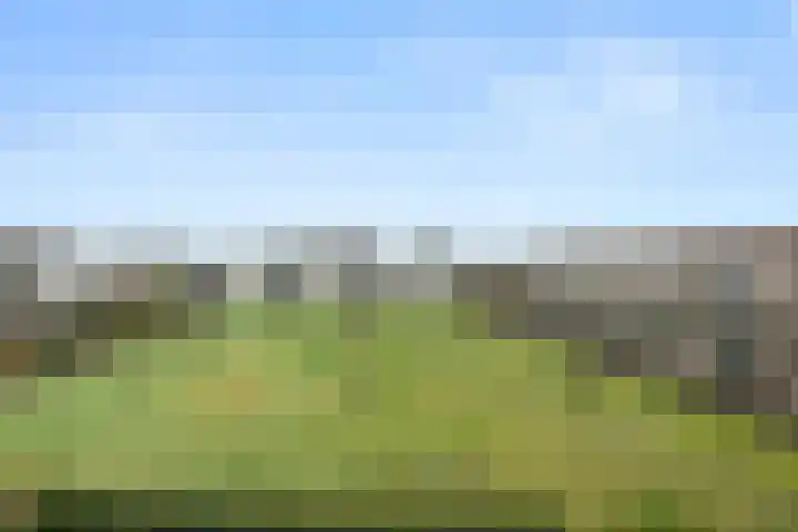 Haldereng 65 Bennekom thumbnail 8