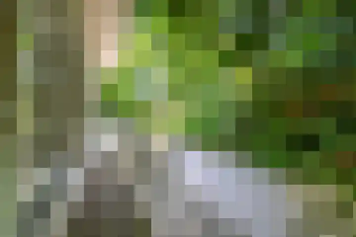Halderheiweg 15 Boxtel thumbnail 11