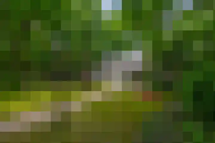 Halderheiweg 15 Boxtel thumbnail 4