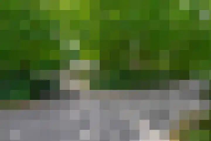 Halderheiweg 15 Boxtel thumbnail 5
