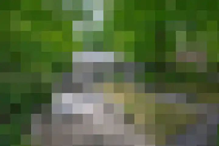 Halderheiweg 15 Boxtel thumbnail 6
