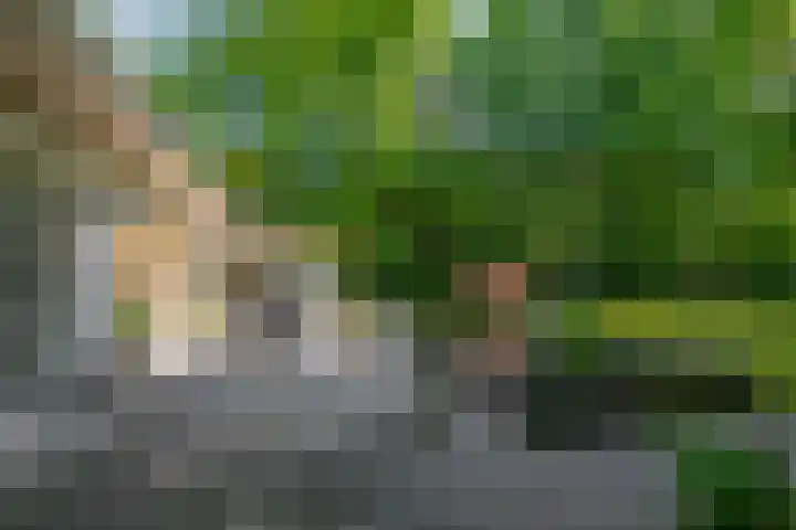 Halderheiweg 15 Boxtel thumbnail 61
