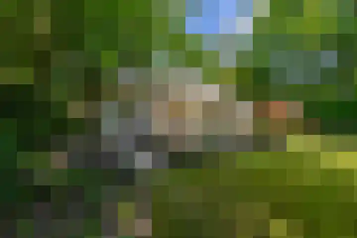 Halderheiweg 15 Boxtel thumbnail 63