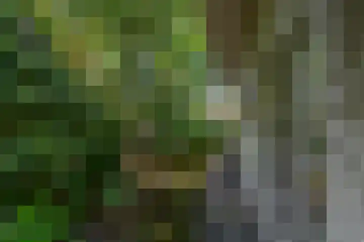 Halderheiweg 15 Boxtel thumbnail 64