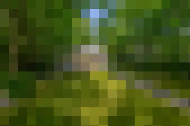 Halderheiweg 15 Boxtel thumbnail 65