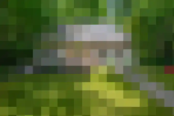 Halderheiweg 15 Boxtel thumbnail 66