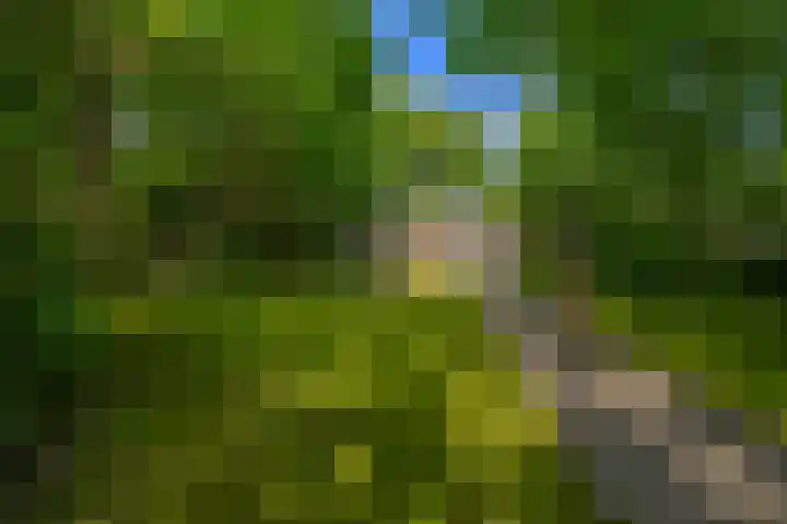 Halderheiweg 15 Boxtel thumbnail 67