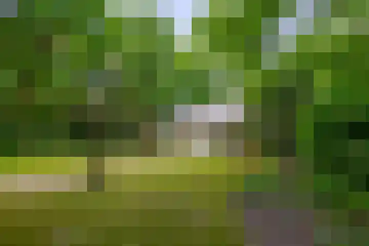 Halderheiweg 15 Boxtel thumbnail 69