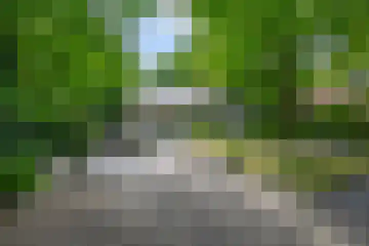 Halderheiweg 15 Boxtel thumbnail 7