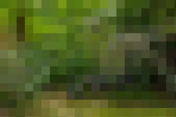 Halderheiweg 15 Boxtel thumbnail 70