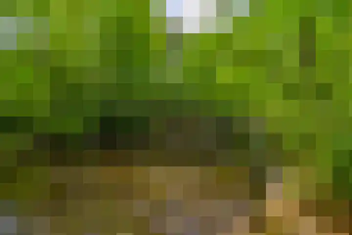 Halderheiweg 15 Boxtel thumbnail 72