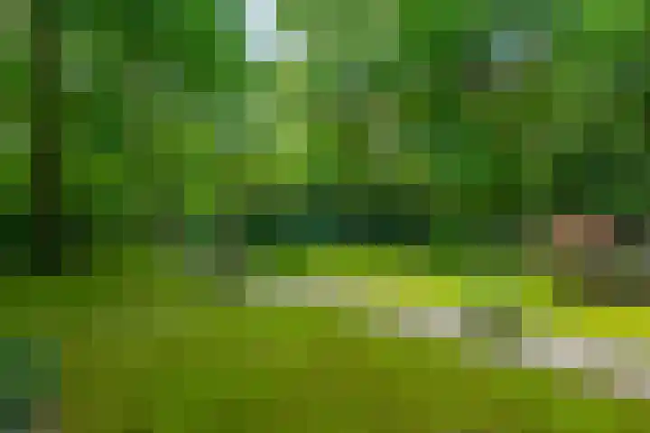 Halderheiweg 15 Boxtel thumbnail 73