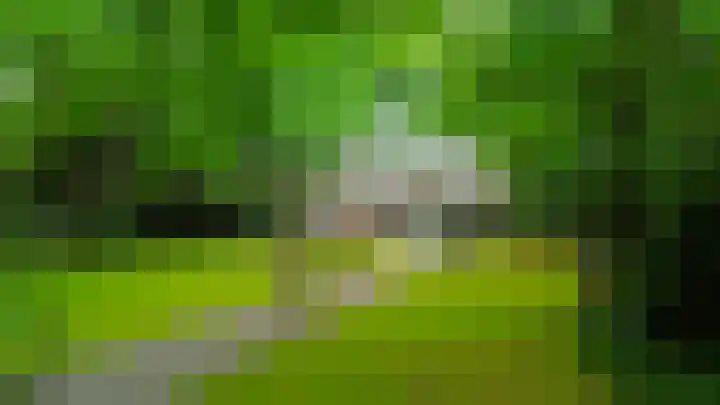 Halderheiweg 15 Boxtel thumbnail 76