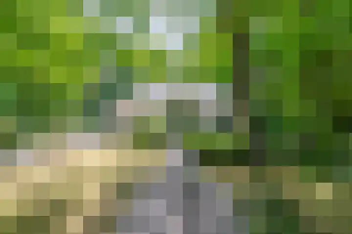 Halderheiweg 15 Boxtel thumbnail 89