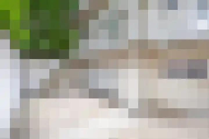 Halderheiweg 15 Boxtel thumbnail 9