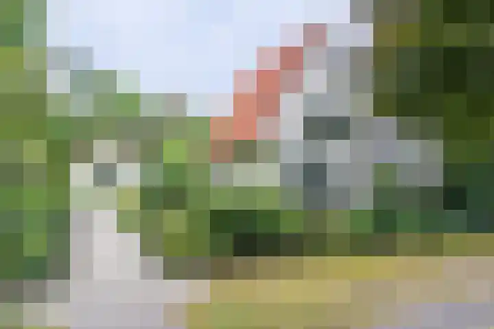 Halderheiweg 2 in Boxtel