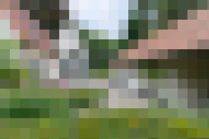 Halderheiweg 2 Boxtel thumbnail 22