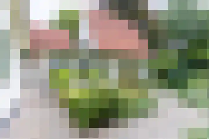 Halderheiweg 2 Boxtel thumbnail 23