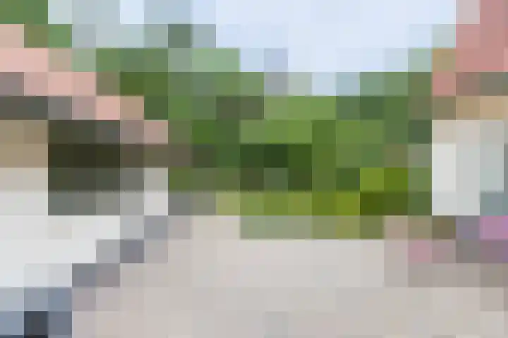 Halderheiweg 2 Boxtel thumbnail 24
