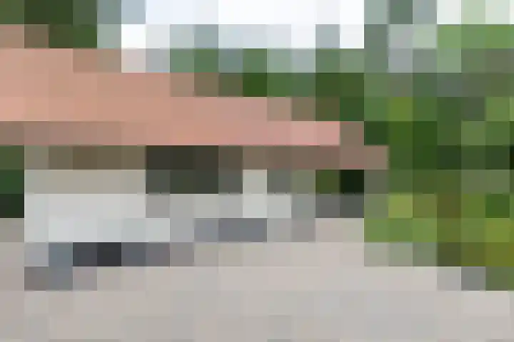 Halderheiweg 2 Boxtel thumbnail 25