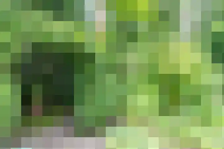 Halderheiweg 2 Boxtel thumbnail 31