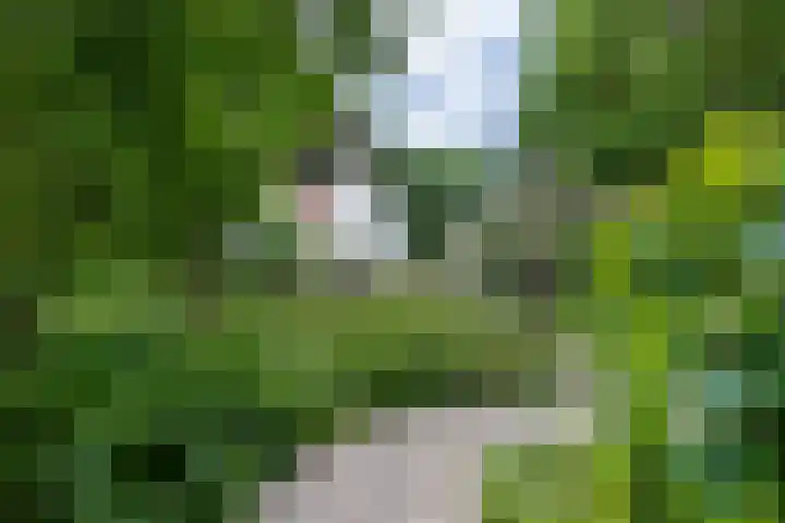 Halderheiweg 2 Boxtel thumbnail 32