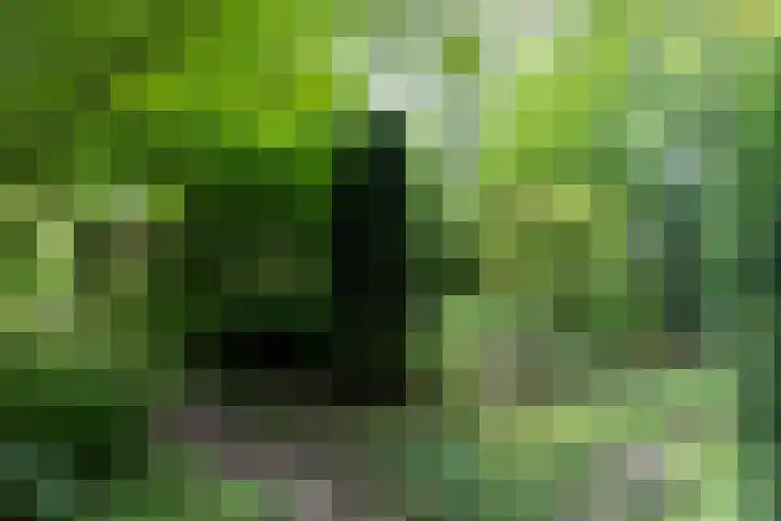 Halderheiweg 2 Boxtel thumbnail 33