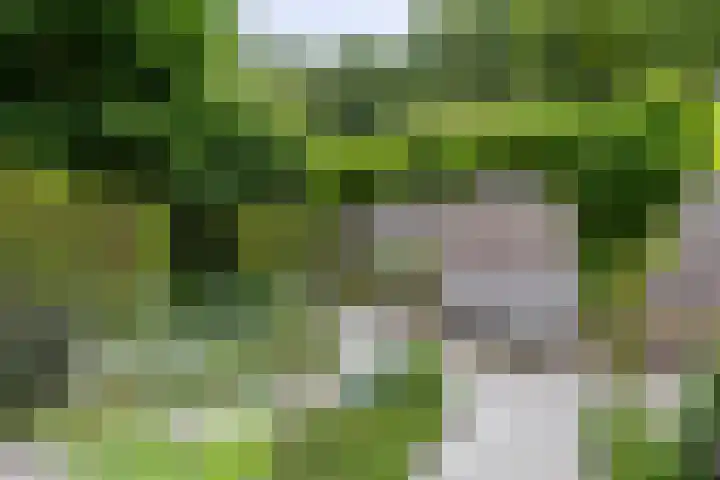Halderheiweg 2 Boxtel thumbnail 34