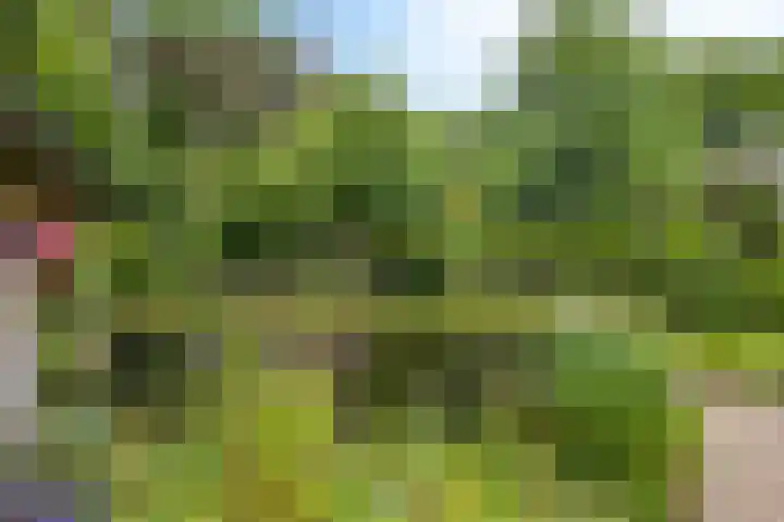 Halderheiweg 2 Boxtel thumbnail 35