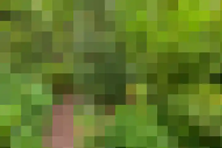 Halderheiweg 2 Boxtel thumbnail 36