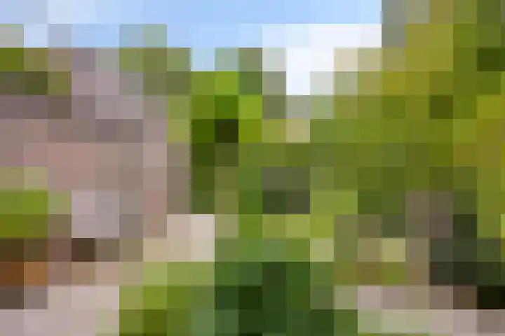 Halderheiweg 2 Boxtel thumbnail 37