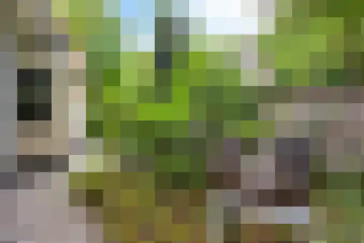 Halderheiweg 2 Boxtel thumbnail 39