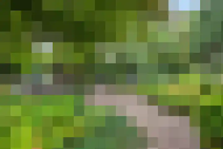 Halderheiweg 2 Boxtel thumbnail 40