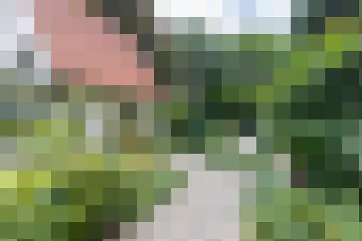 Halderheiweg 2 Boxtel thumbnail 41