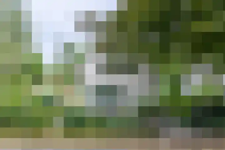 Halderheiweg 2 Boxtel thumbnail 42