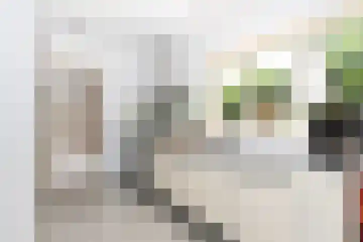 Halderheiweg 2 Boxtel thumbnail 7