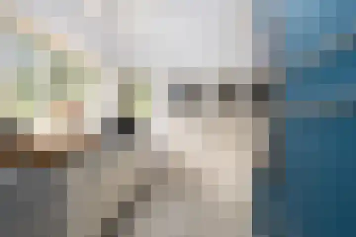 Halderheiweg 2 Boxtel thumbnail 8