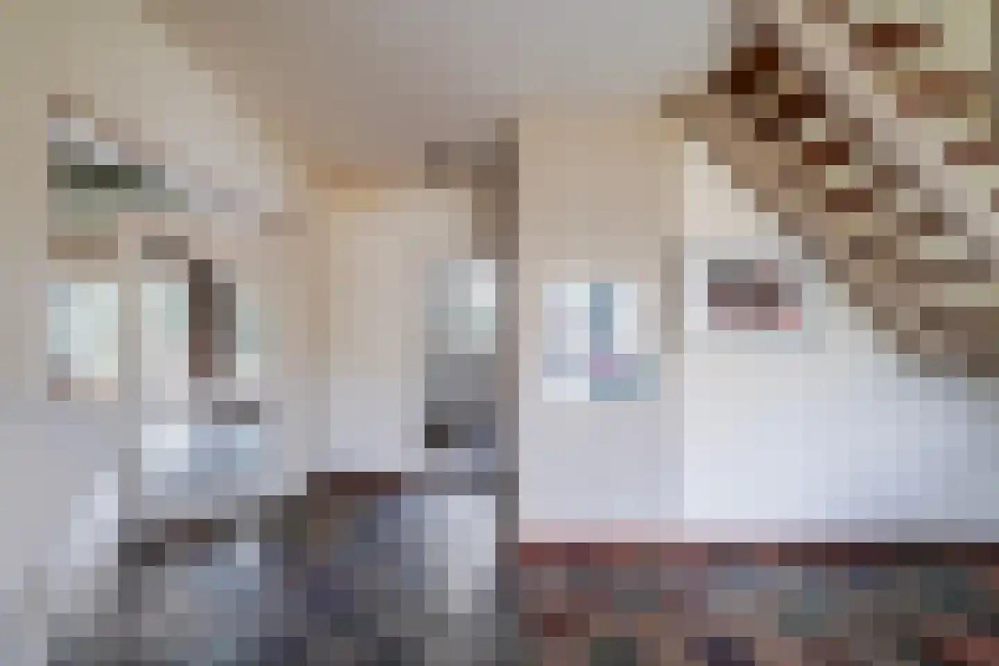Halderheiweg 3 Boxtel thumbnail 12