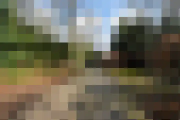 Halderheiweg 3 Boxtel thumbnail 65