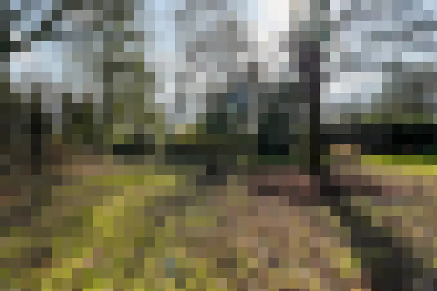 Halderheiweg 3 Boxtel thumbnail 66