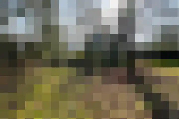 Halderheiweg 3 Boxtel thumbnail 66