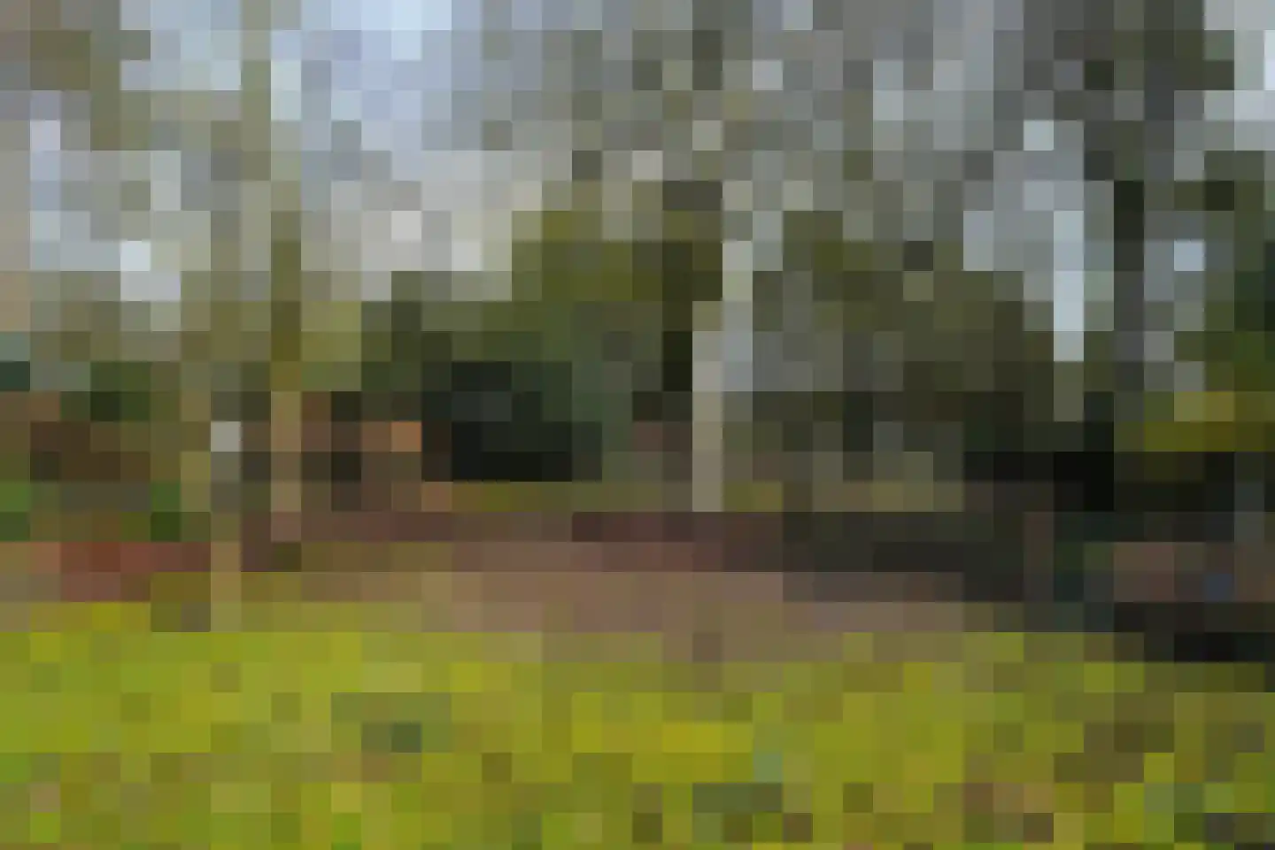 Halderheiweg 3 Boxtel thumbnail 67