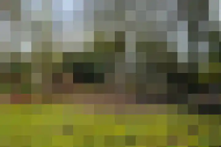 Halderheiweg 3 Boxtel thumbnail 67