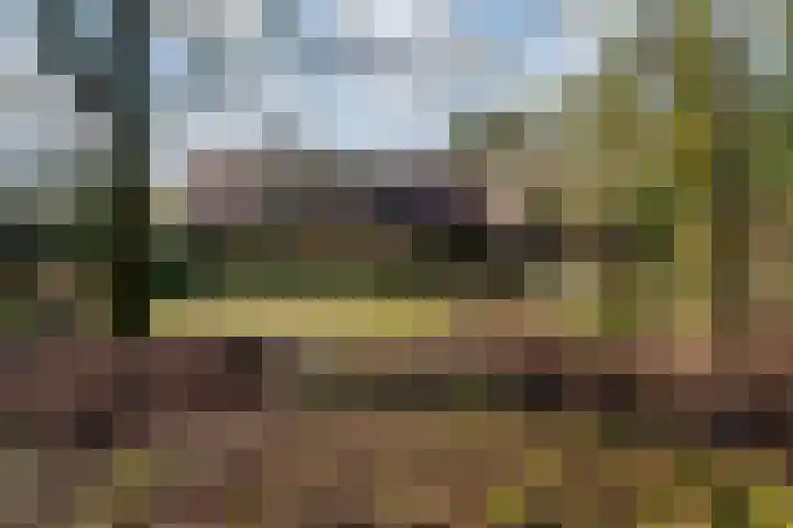 Halderheiweg 3 Boxtel thumbnail 7